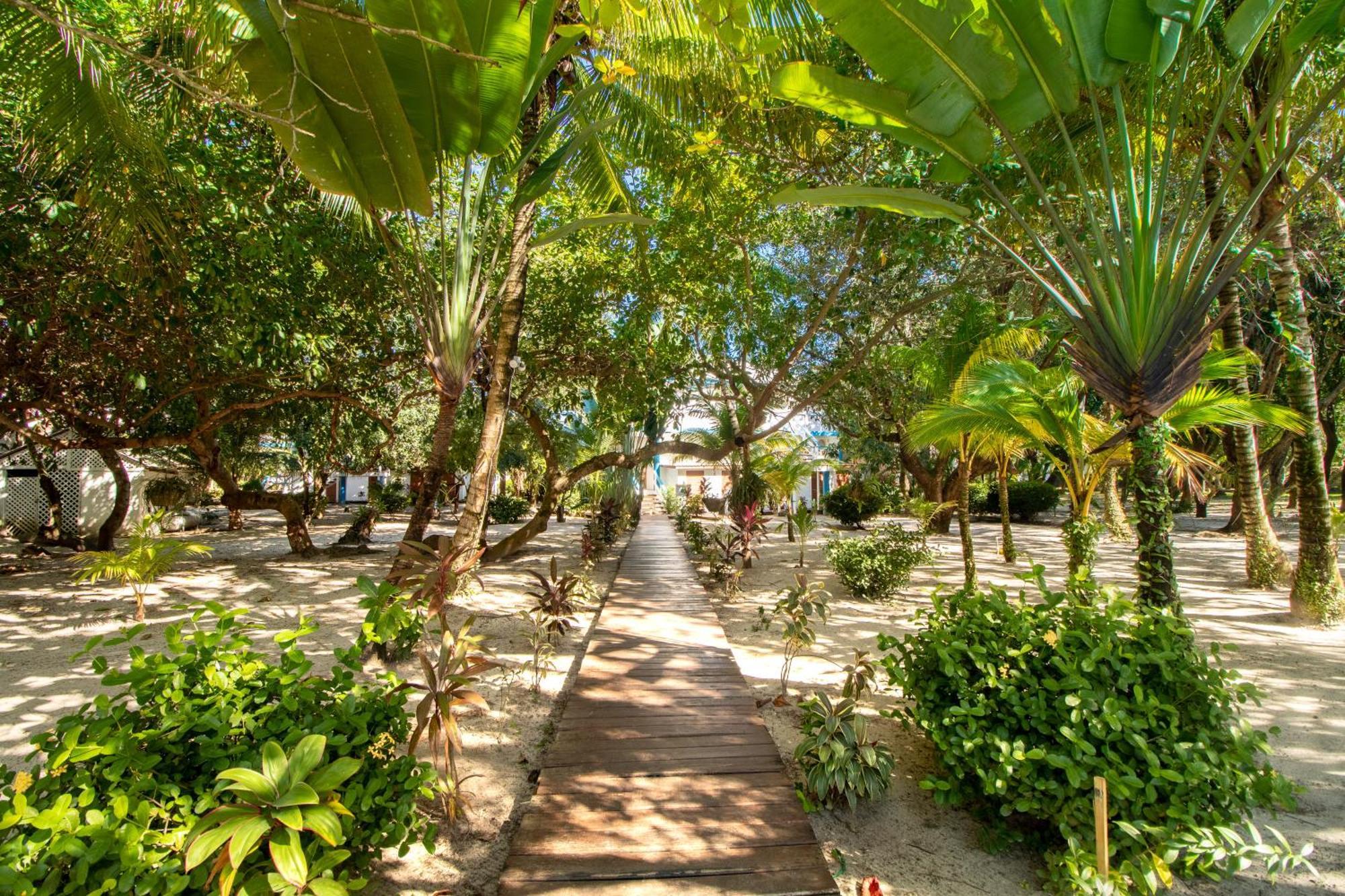 Beachside Villas Gold Standard Certified Placencia Camera foto