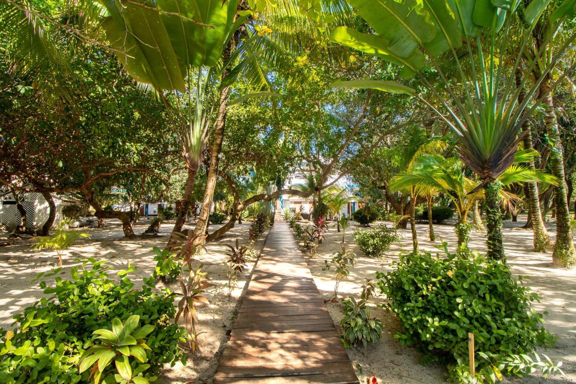 Beachside Villas Gold Standard Certified Placencia Camera foto